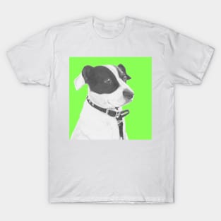 Jack Russell Crossbreed in Green Headshot T-Shirt